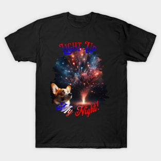 Firework Show (Light up my Night) T-Shirt